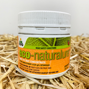 Eco-naturalure Fruit Fly Bait